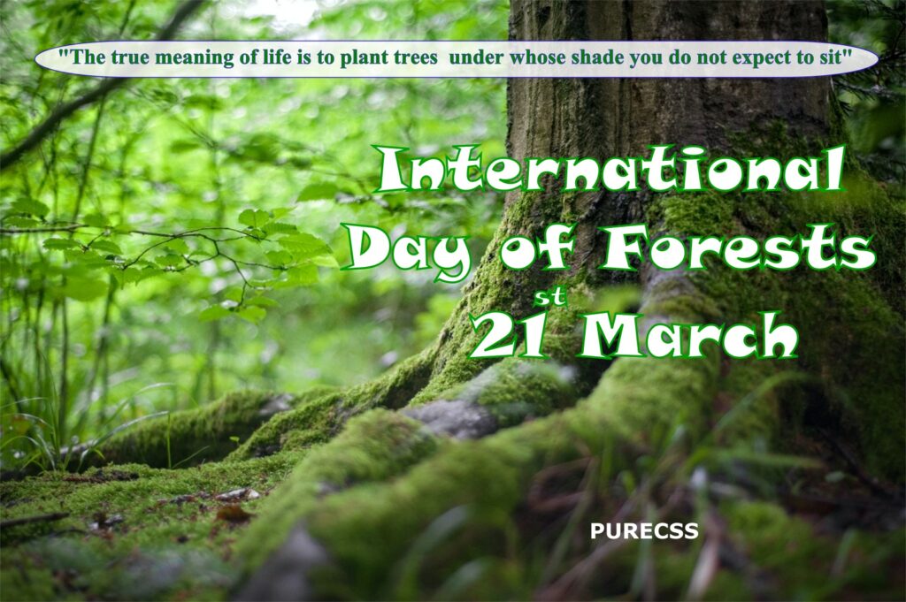 International Day Of Forests ! 21 March